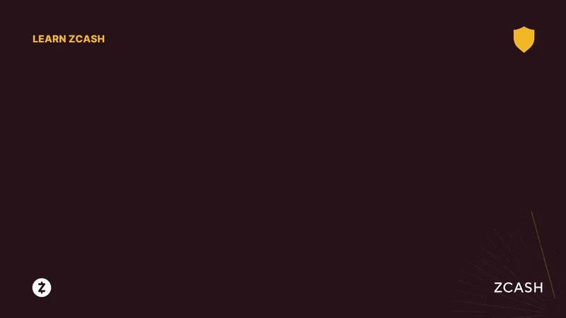 Zcash's Quantum Leap: Price Predictions, Bitcoin Concerns, and a Privacy Revolution